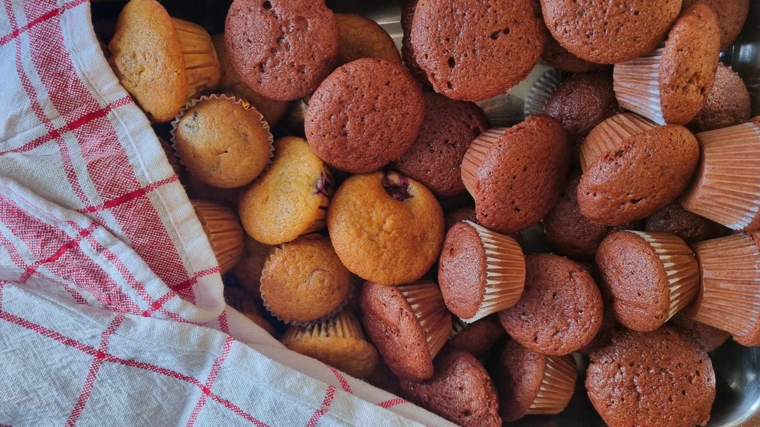 Ganz viele Minimuffins