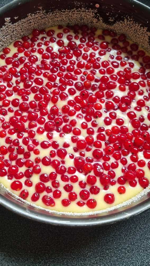 Schwedischer Johannesbeerkuchen