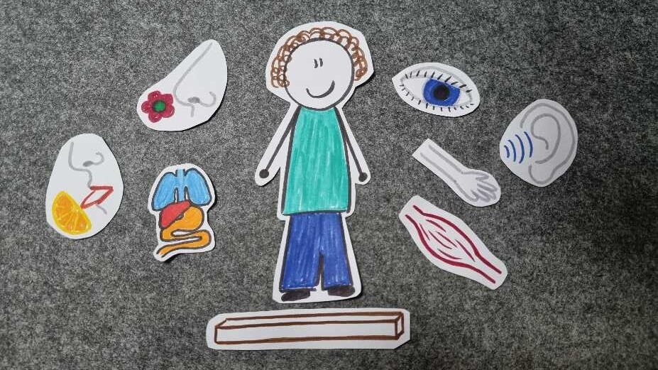 Ein weiteres Beispiel für praxisnahe Vermittlung: Ich nutze in der Prozessbegleitung "Herausforderndes Verhalten verstehen" gerne Sketchnotes, um komplexe Themen wie die Wahrnehmungsverarbeitung anschaulich darzustellen.
